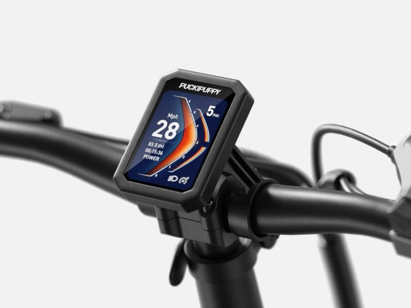 2024_LCD_1.jpg__PID:a1f063af-284b-4d53-ad4d-433c19aed56f